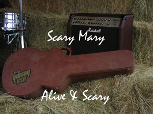 Link to Scary Mary Shop